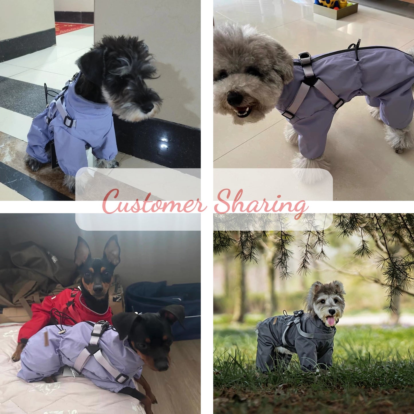 Waterproof dog raincoat | Four-legged chest-back design | Adjustable dog jacket | Reflective at night | All sizes of dogs S-6XL