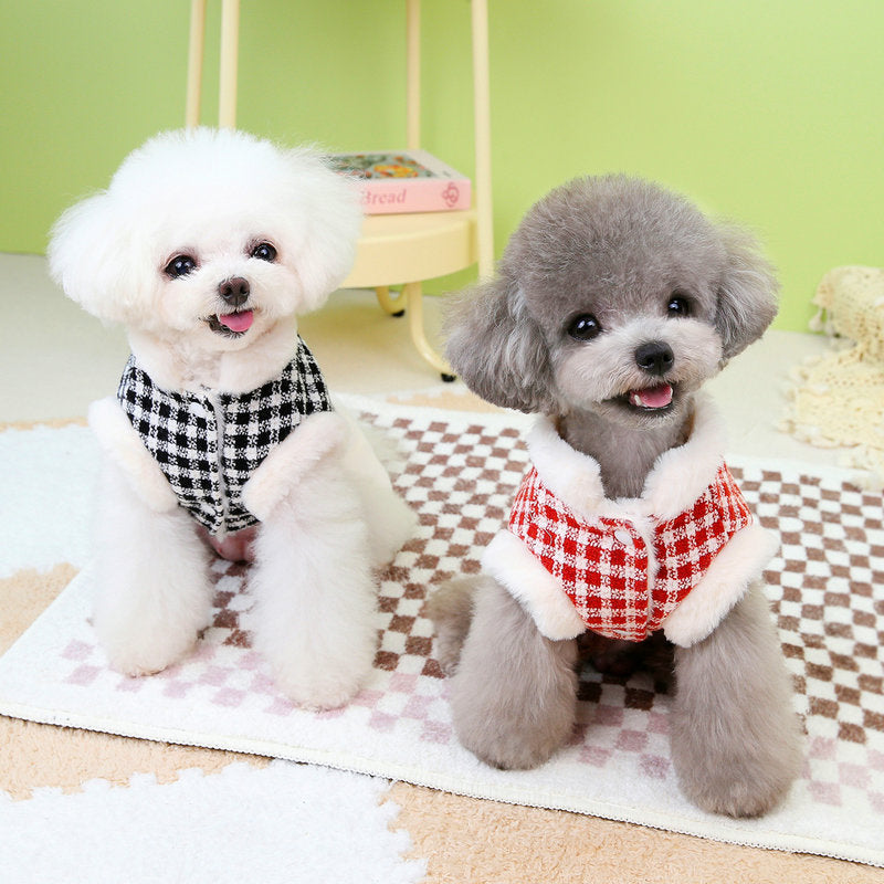 Small Dog Clothes