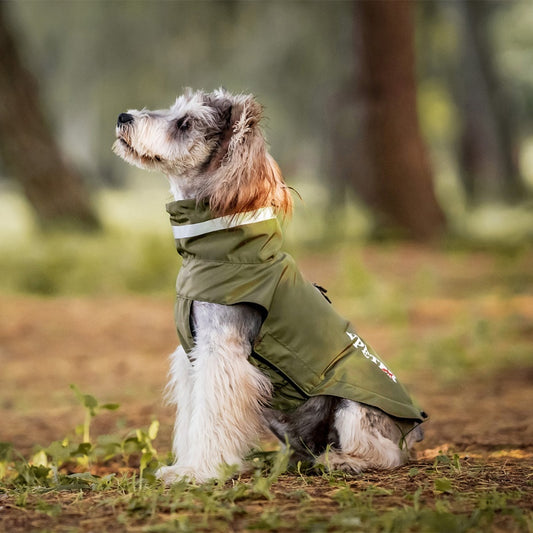 Wasserdichter Klettverschluss für Regenmäntel für kleine und mittelgroße Hunde 