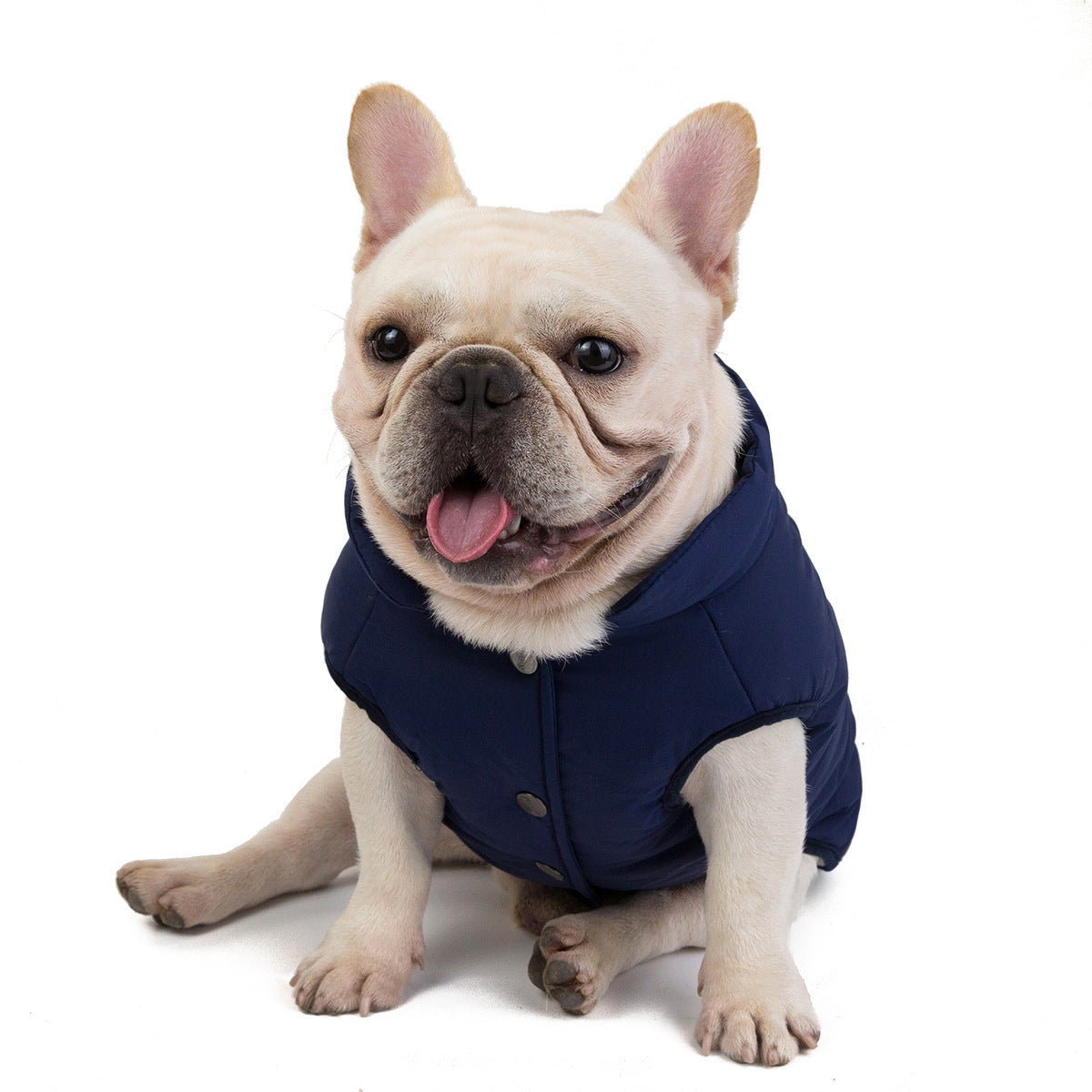 Veste d'hiver chaude et imperméable pour petit chien