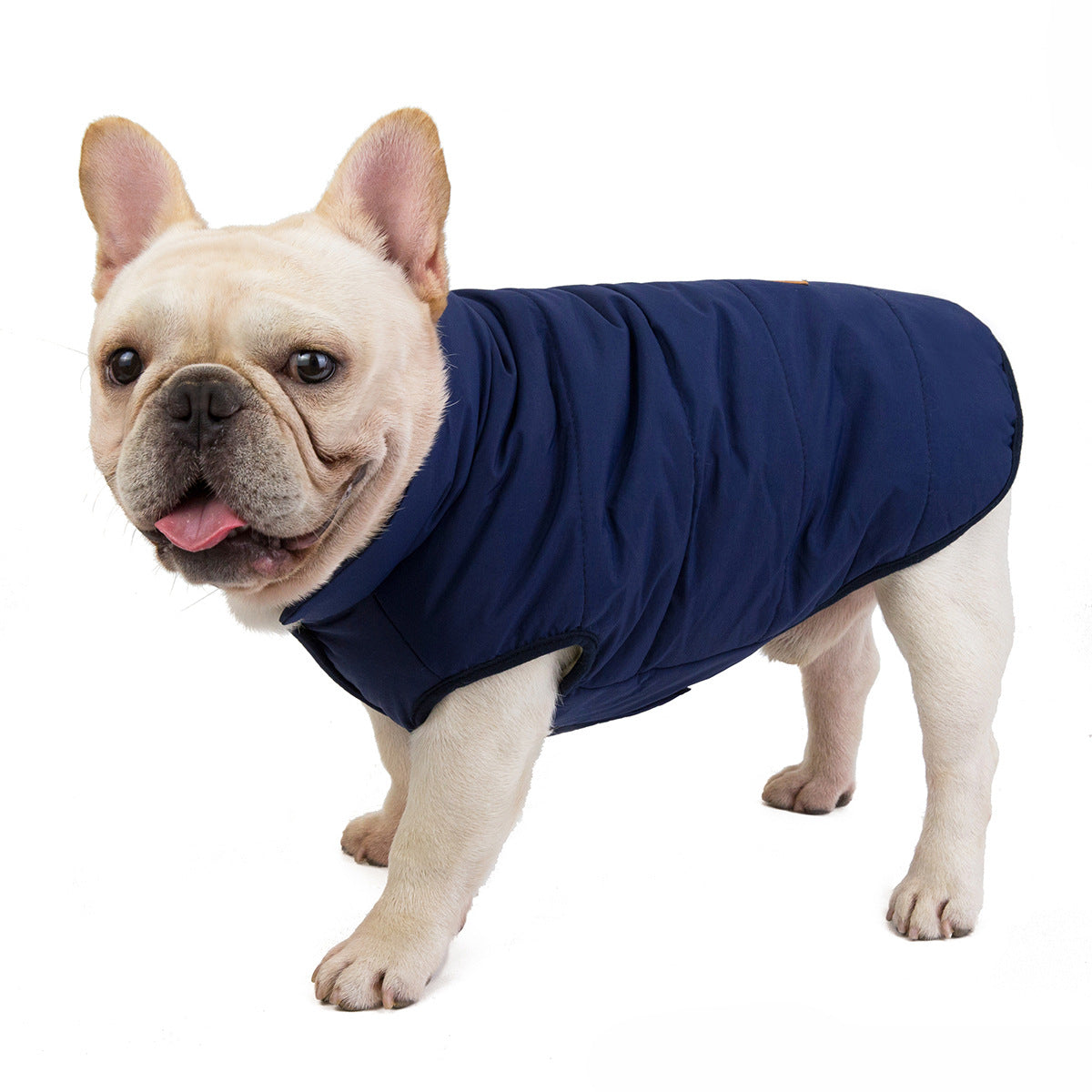 Veste d'hiver chaude et imperméable pour petit chien