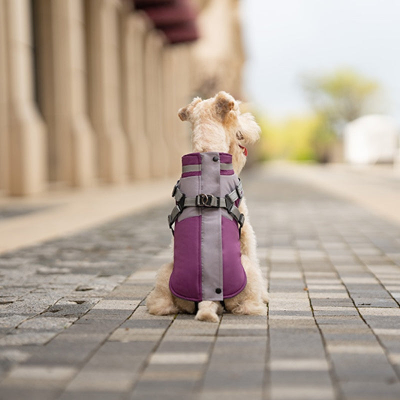 Manteau d'hiver pour chien avec poitrine et dos pour la traction des chiens de petite et moyenne taille 