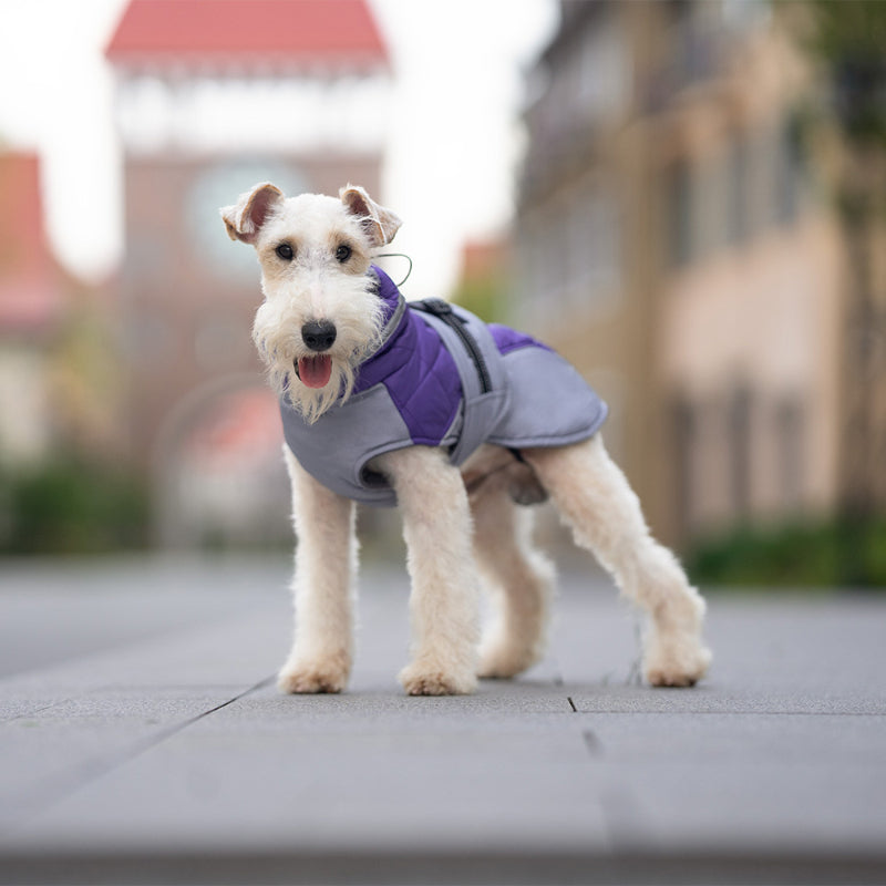 Dog winter coat warm and windproof high collar can be turned down for small and medium-sized