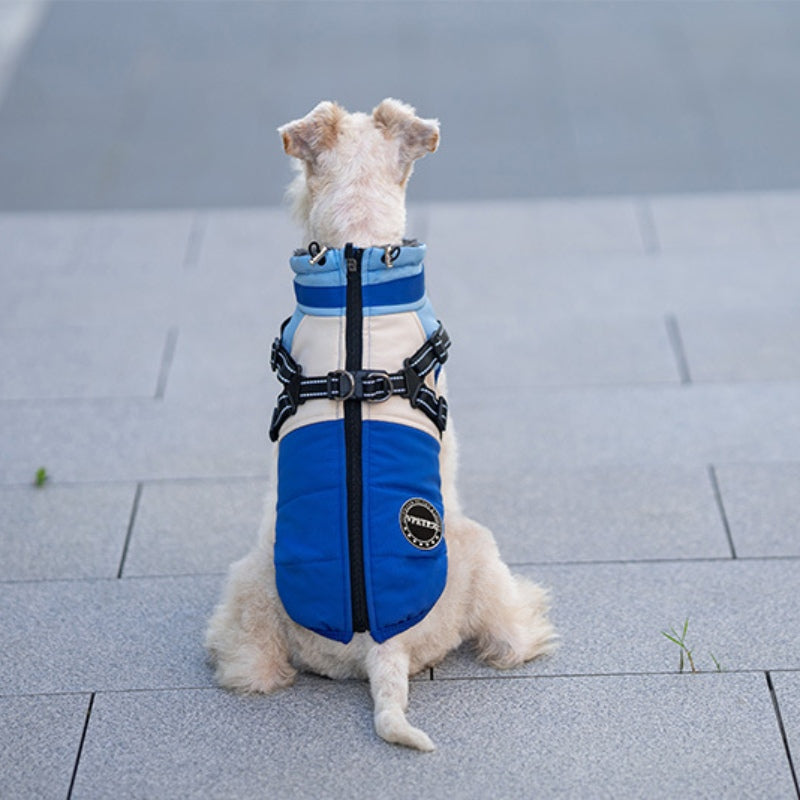 Veste chaude multifonctionnelle pour petits chiens avec boucle de traction 