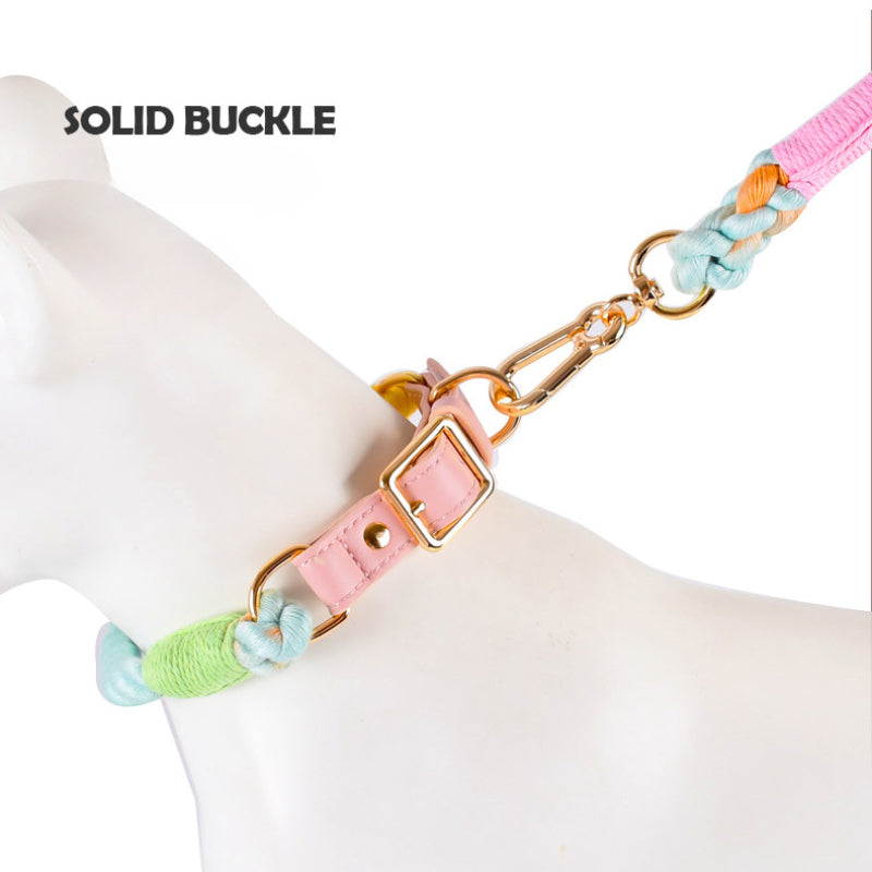 Hand-woven colorful pet dog leash set leather dog collar supplies