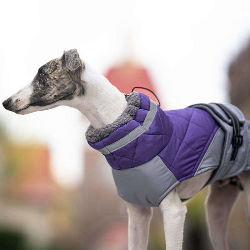 Dog winter coat warm and windproof high collar can be turned down for small and medium-sized