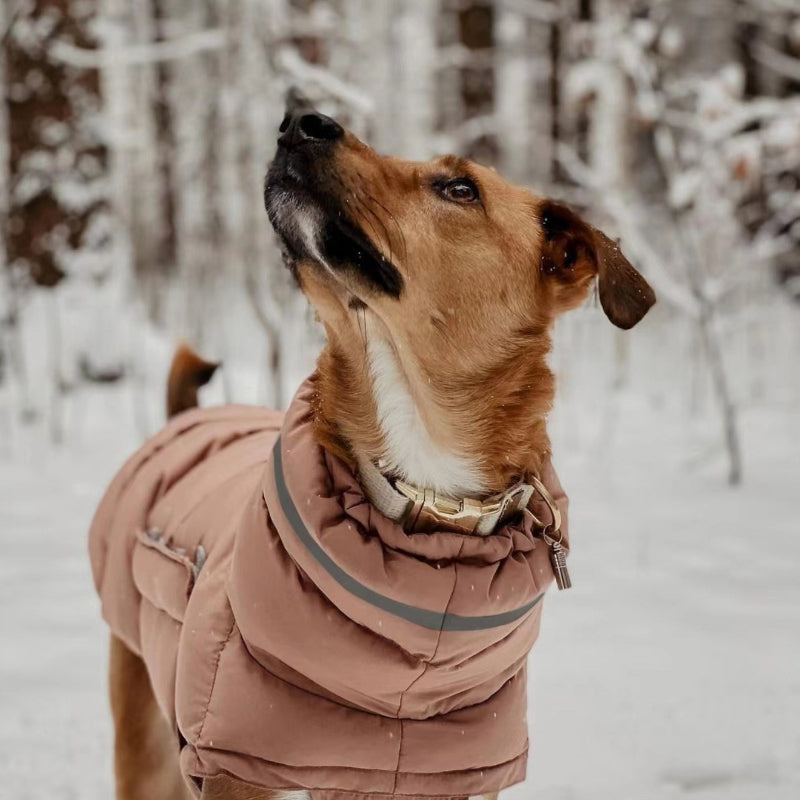 Dog outdoor jacket waterproof windproof warm coat