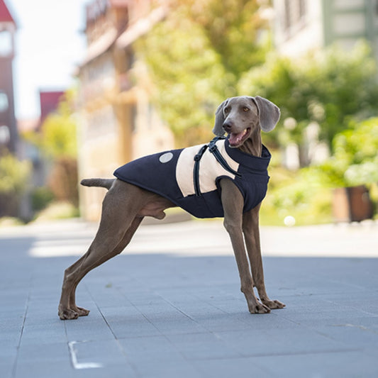 Veste d'hiver pour chien, chaude et coupe-vent, poitrine et dos, convient à tous les chiens 