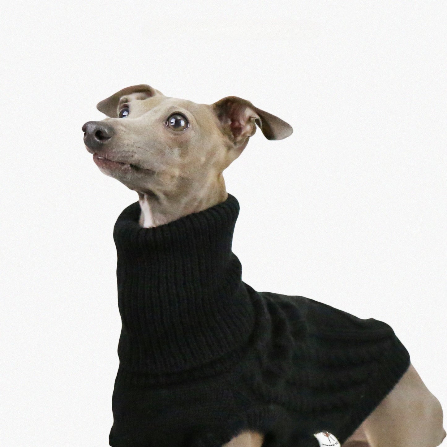 Turtleneck dog sweater soft and warm