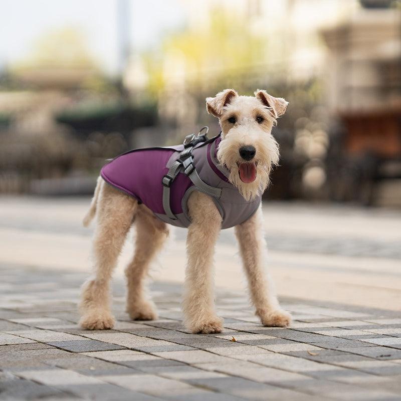 Manteau d'hiver pour chien avec poitrine et dos pour la traction des chiens de petite et moyenne taille 