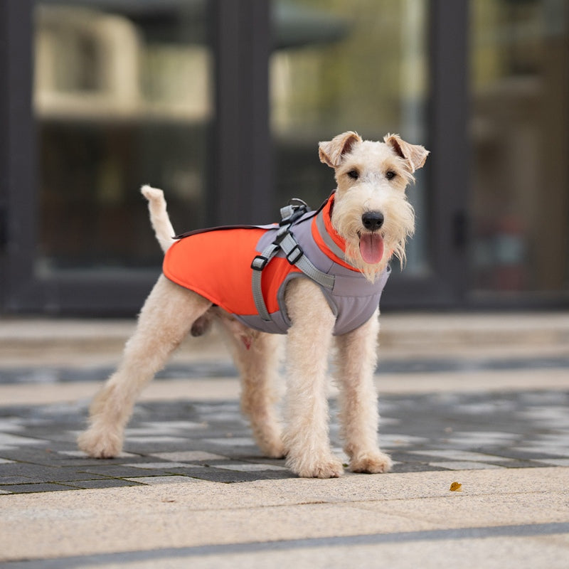 Manteau d'hiver pour chien avec poitrine et dos pour la traction des chiens de petite et moyenne taille 