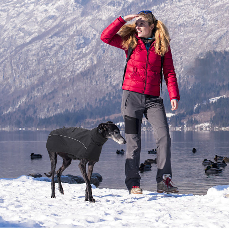 Veste imperméable chaude et douce pour chien, vêtements d'hiver d'extérieur