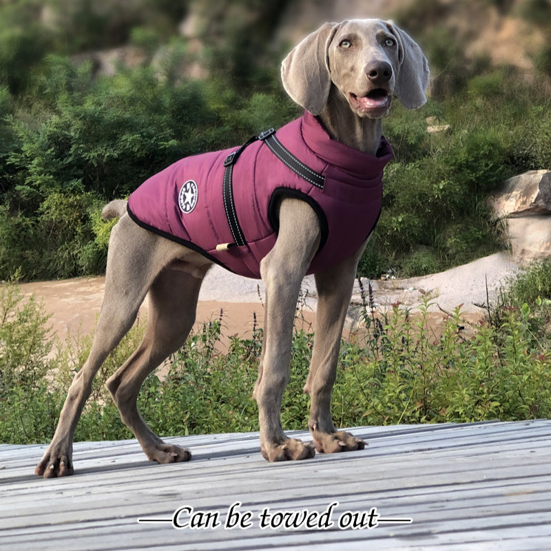 Dog jacket large dog jacket waterproof, warm and traction-proof