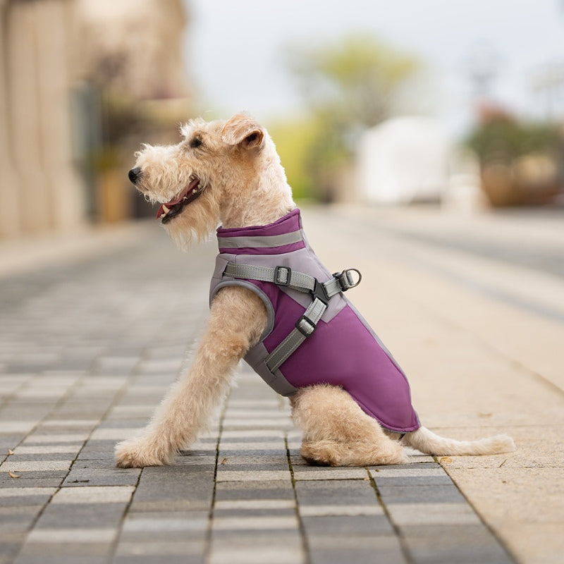 Manteau d'hiver pour chien avec poitrine et dos pour la traction des chiens de petite et moyenne taille 