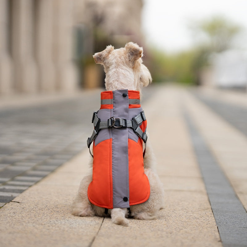 Manteau d'hiver pour chien avec poitrine et dos pour la traction des chiens de petite et moyenne taille 