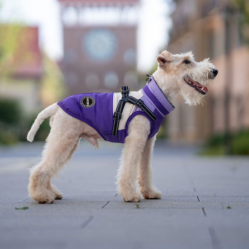 Veste chaude multifonctionnelle pour petits chiens avec boucle de traction 