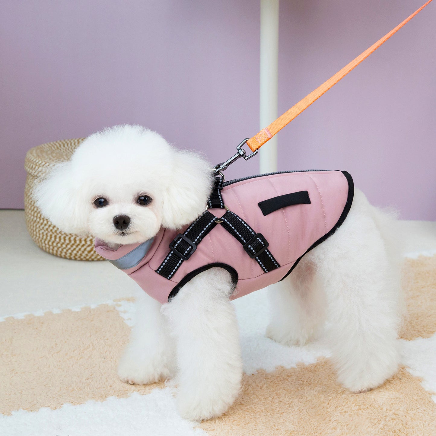 Small Dog Cotton-padded Reflective Harness Traction