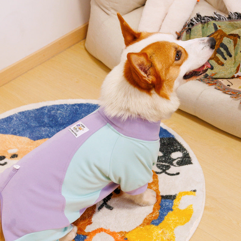 Vêtements d'hiver pour chien, manteau chaud à quatre pattes, pyjama pour chien 