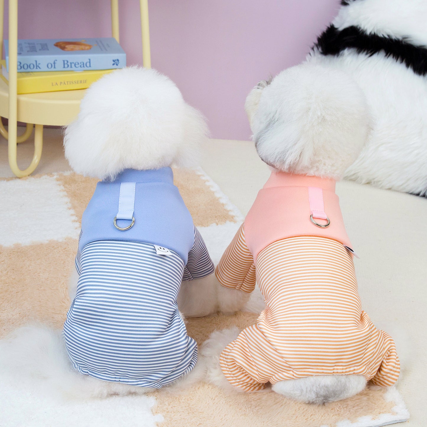 Puppy one-piece suit with traction on four legs