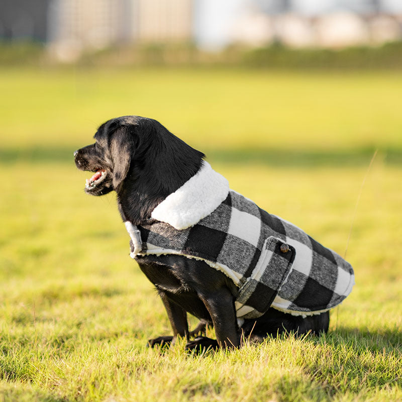 Veste épaisse et chaude pour chihuahua, caniche, schnauzer