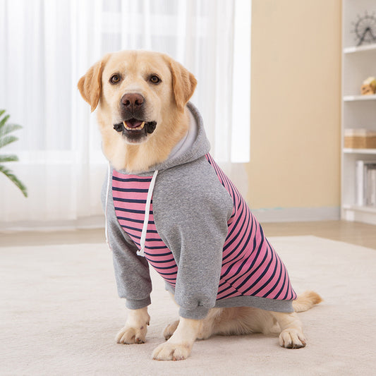 Big dog winter clothes two-legged striped sweatshirt golden retriever labrador