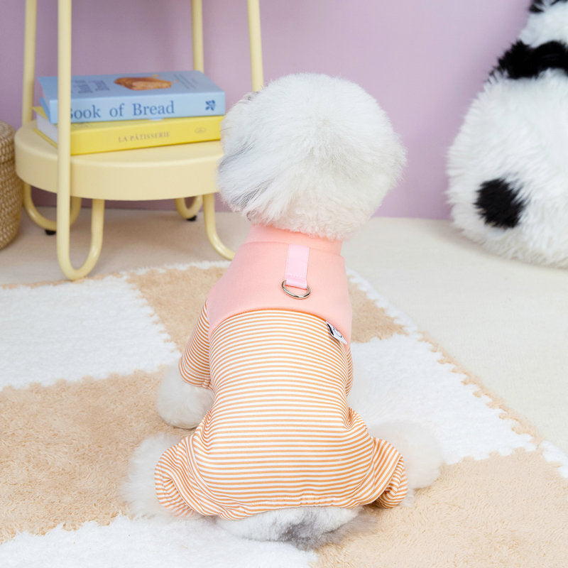 Puppy one-piece suit with traction on four legs