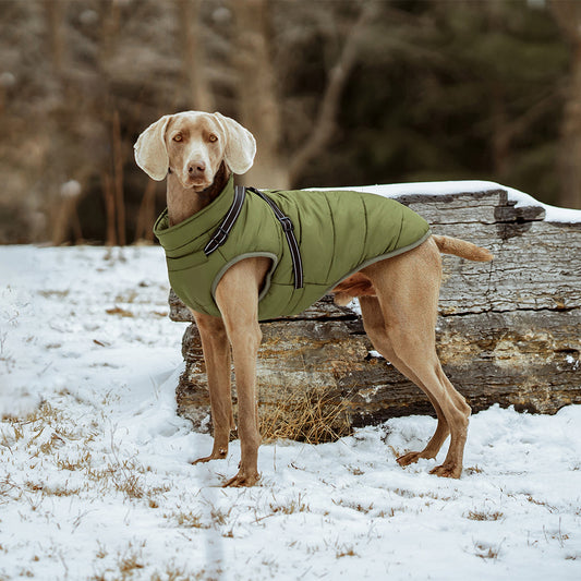 Dog Warm Jacket Thickened Waterproof With Harness