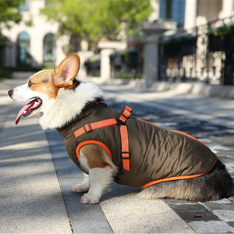 Veste d'hiver chaude et imperméable pour chien poitrine et dos universelle Teddy Corgi 