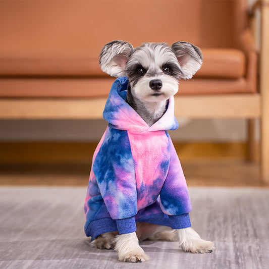 Fashionable hoodies for all dog and cat sizes