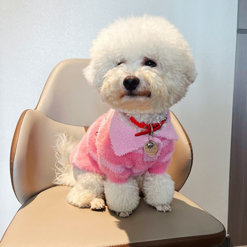 Pull d'hiver pour petit chien et chat Princesse Rose