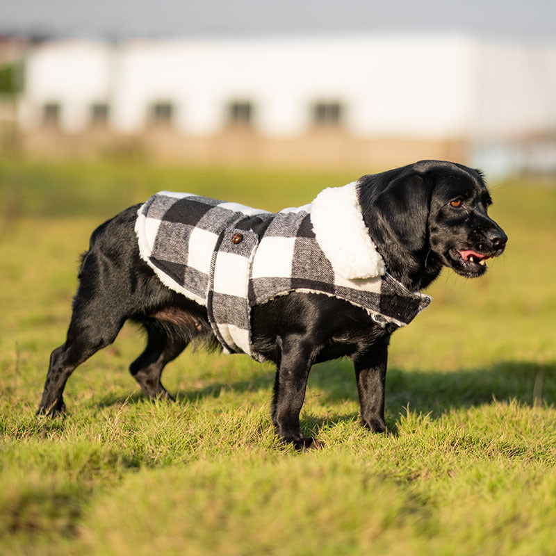 Veste épaisse et chaude pour chihuahua, caniche, schnauzer