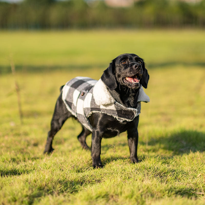 Veste épaisse et chaude pour chihuahua, caniche, schnauzer