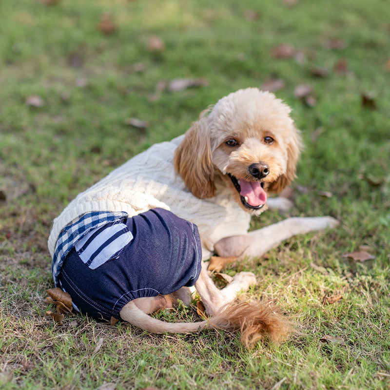 Warmer Hundepullover mit modischen Nähten, geeignet für kleine und mittelgroße Hunde