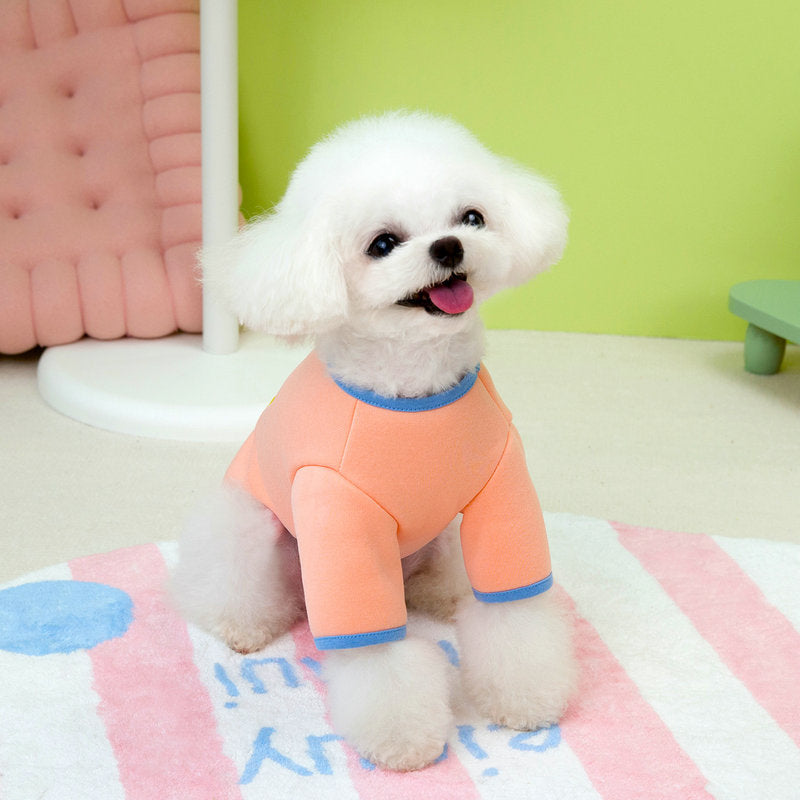 Small Dog Puppy Warm Sweatshirt