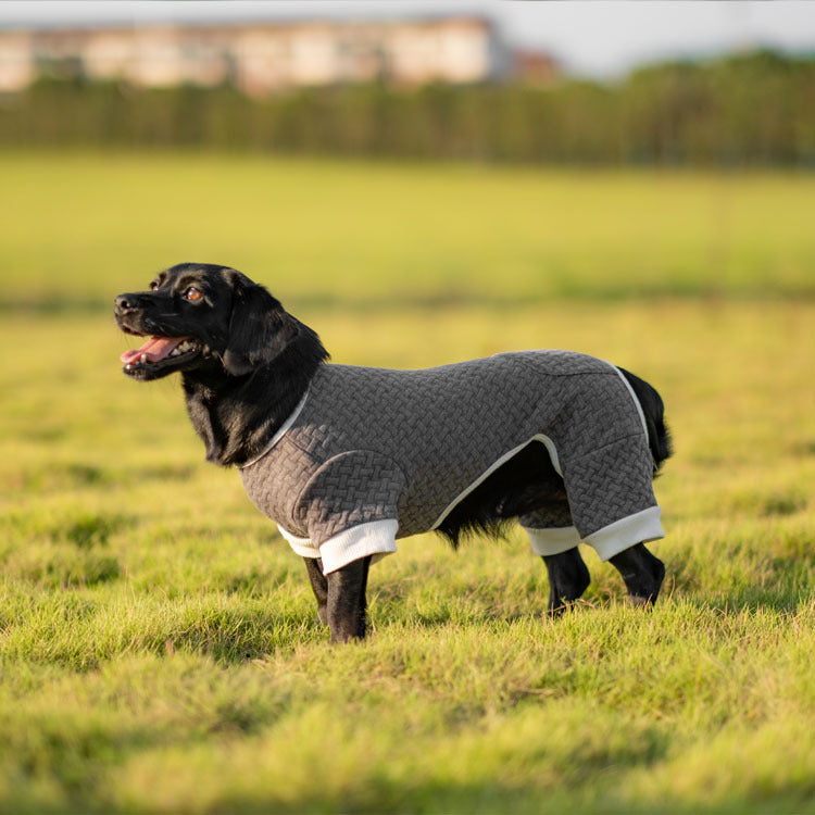 Veste chaude d'automne et d'hiver à quatre pattes et élastique