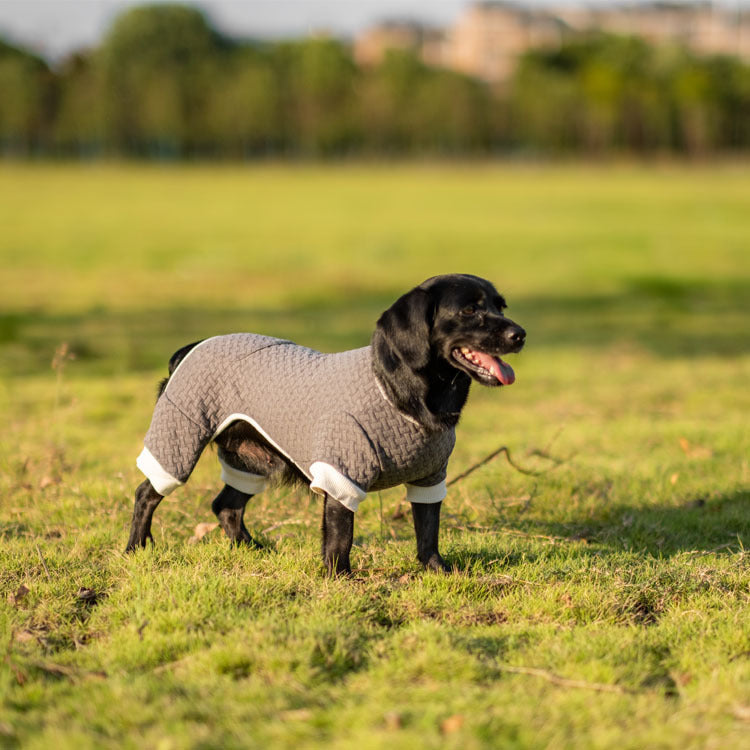 Veste chaude d'automne et d'hiver à quatre pattes et élastique