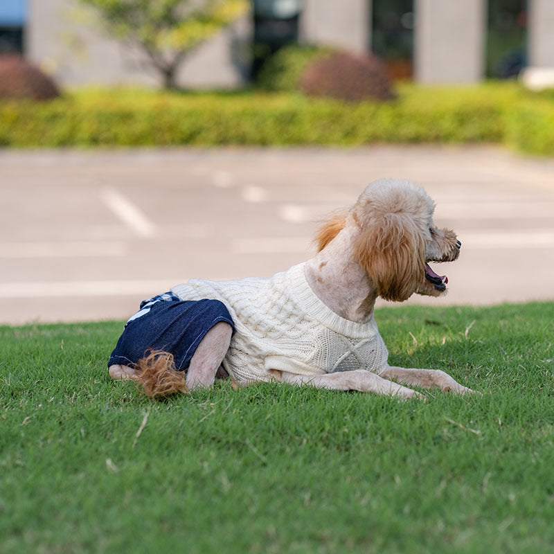 Warmer Hundepullover mit modischen Nähten, geeignet für kleine und mittelgroße Hunde