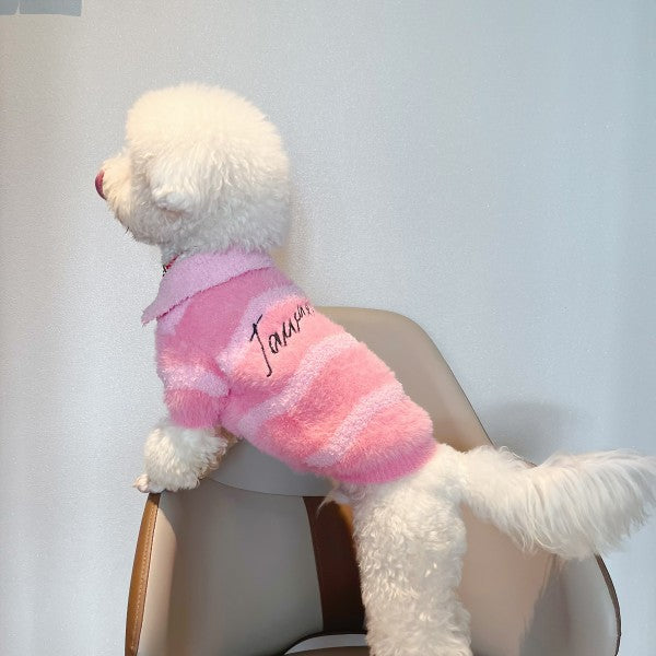 Pull d'hiver pour petit chien et chat Princesse Rose