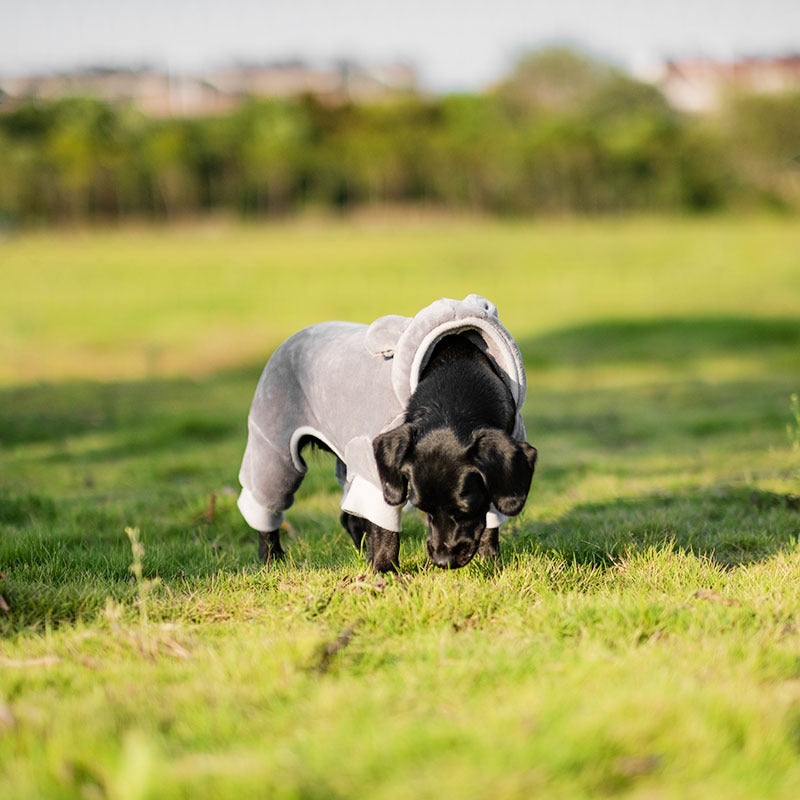 Boxer à capuche chaud pour chiens de petite et moyenne taille