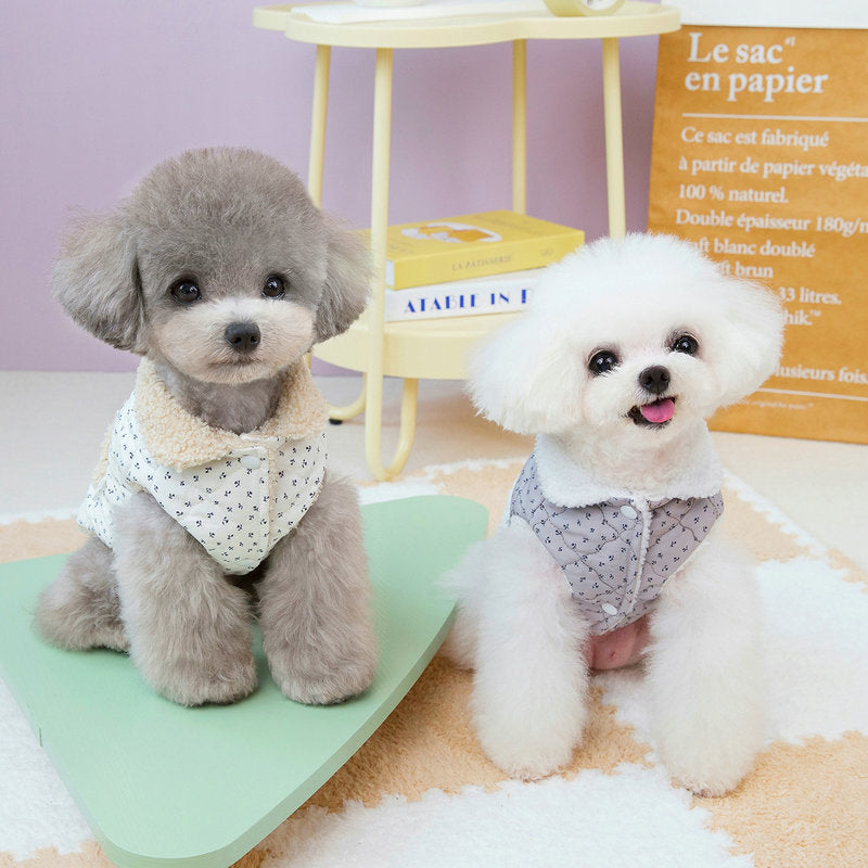 Small Dog Jacket Teddy Bichon