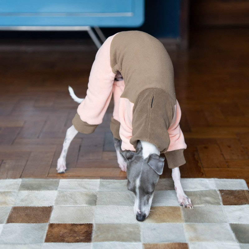 High-collar soft warm dog four-legged coat