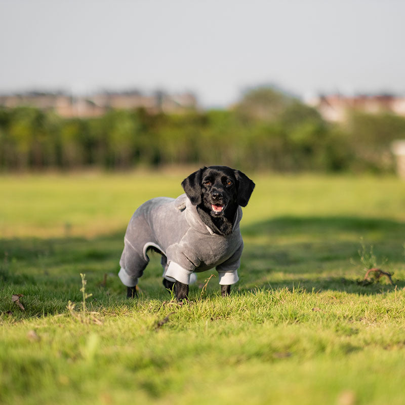 Boxer à capuche chaud pour chiens de petite et moyenne taille