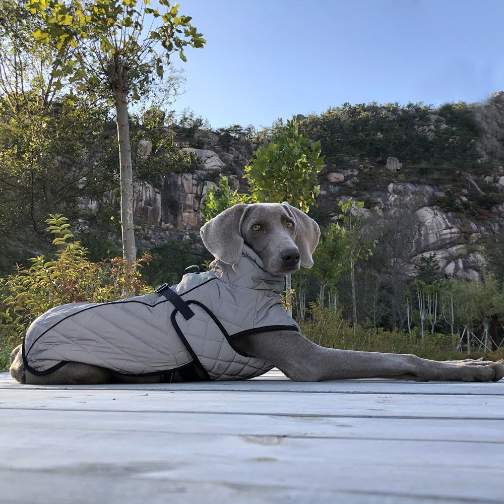 Veste d'hiver d'extérieur pour gros chien, corps entier réfléchissant, imperméable et chaude