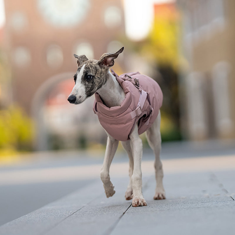 Dog winter clothes chest and back jacket for small and large dogs