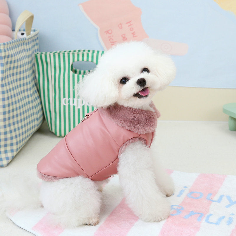 Small Dog Padded Jacket