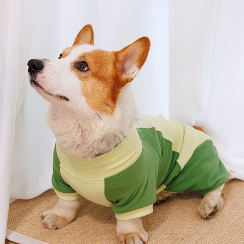 Vêtements d'hiver pour chien, manteau chaud à quatre pattes, pyjama pour chien 