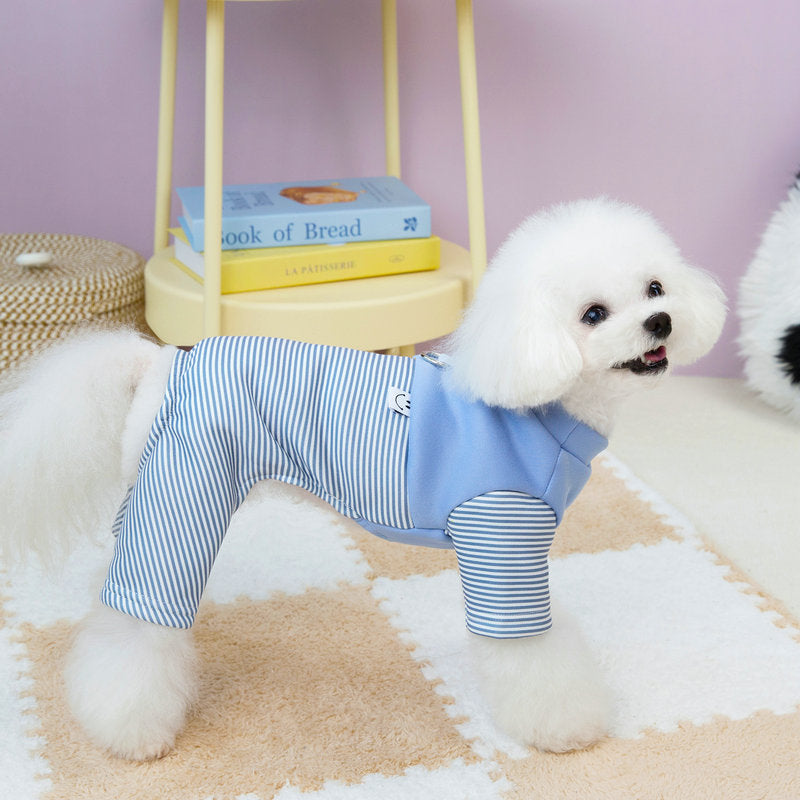 Puppy one-piece suit with traction on four legs