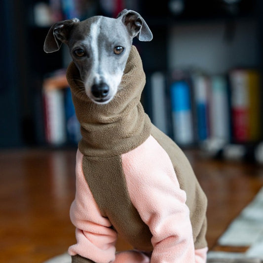 High-collar soft warm dog four-legged coat