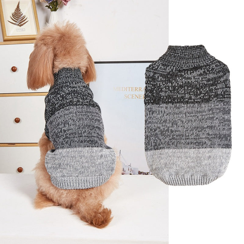 Pull chaud pour petit chien et chat