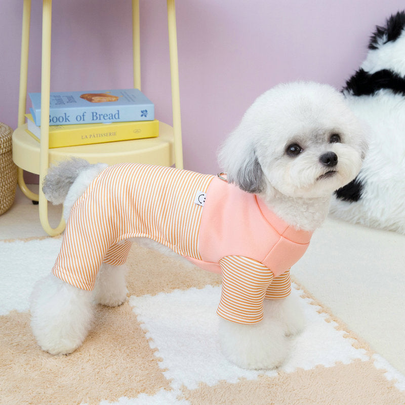 Puppy one-piece suit with traction on four legs